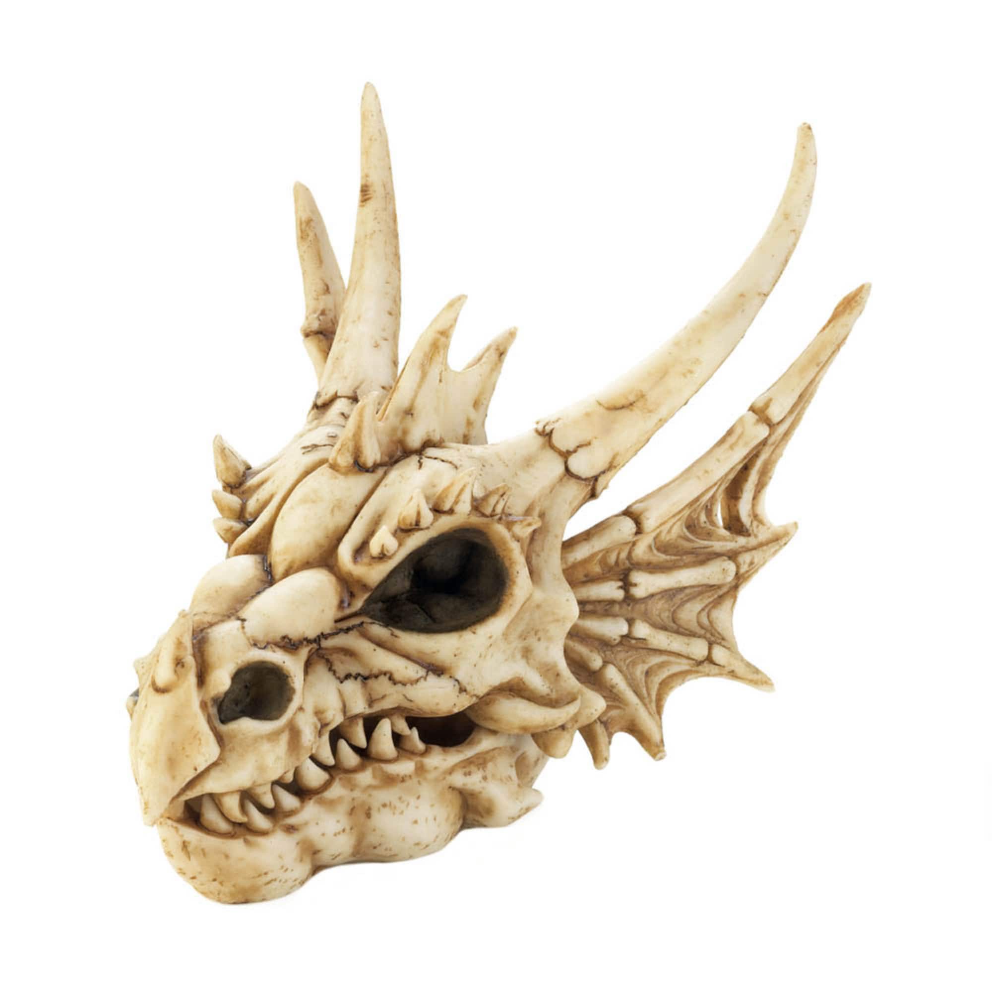 8.5" Detailed Dragon Skull Trinket Box